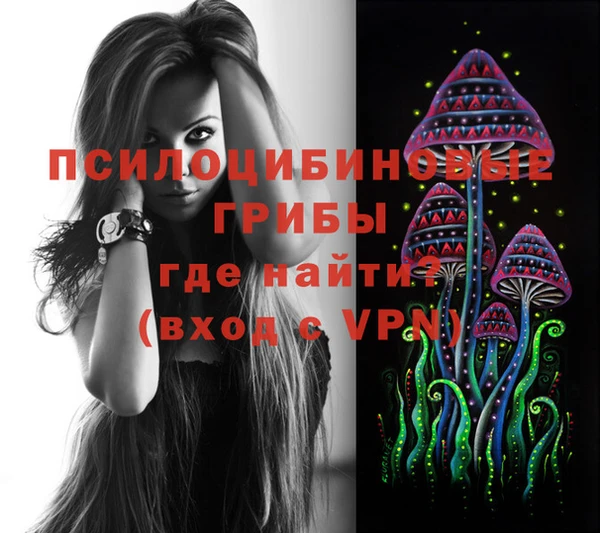 СК Алексеевка