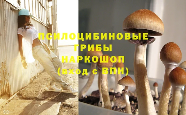 шишки Алексин