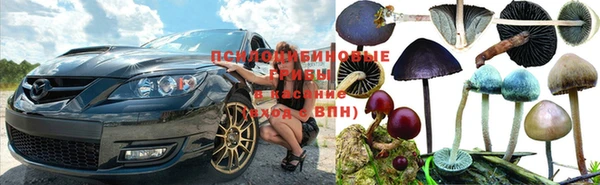 шишки Алексин
