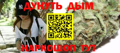 гидра Краснокаменск