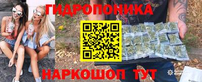 гидра Краснокаменск