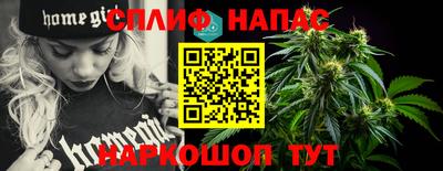 гидра Краснокаменск