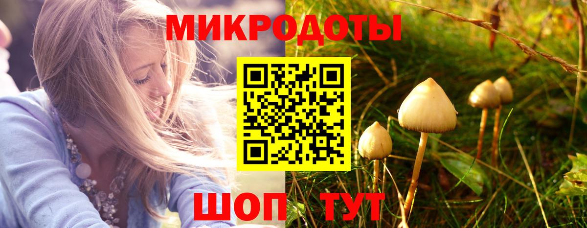 Конаково  Псилоцибиновые грибы ЛСД  закладки  Вход с VPN  Псилоцибиновые грибы MAGIC MUSHROOMS 