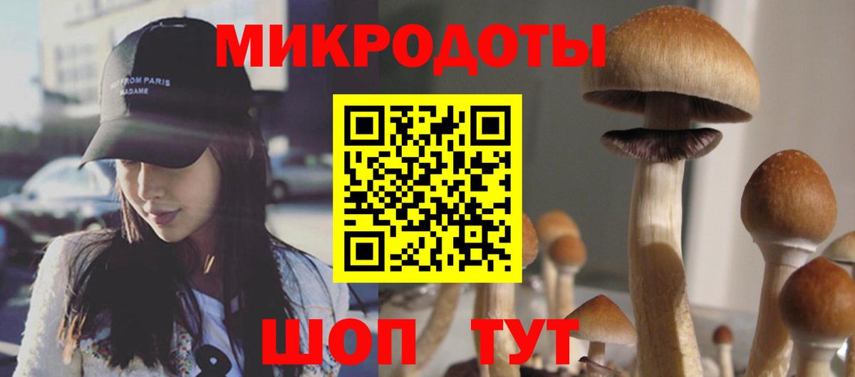 Псилоцибиновые грибы мицелий Конаково