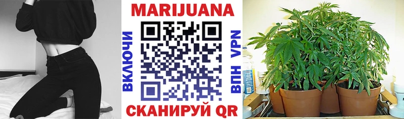 Канабис индика Конаково
